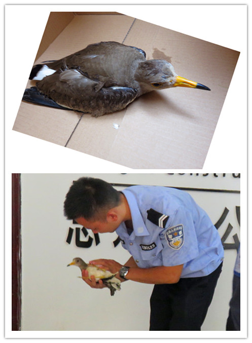 J9游戏·【中国】官方网站
