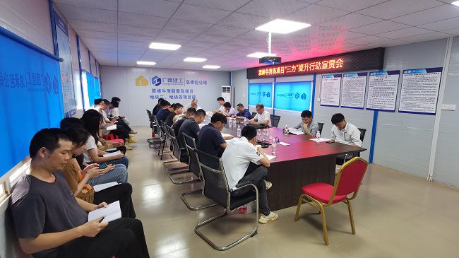 分公司党支部书记、副总经理胡海云深刻牛湾岛项目宣贯《“三力”提升行动》；平ㄊ 摄建图）.jpg